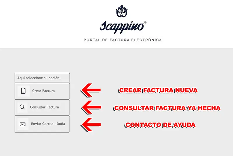 SCAPPINO-FACTURACION-0