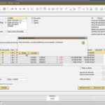 Aplicar pagos a factura en sap business one