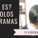 2 explica brevemente el flujo de facturación electrónica