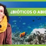 Cuadro comparativo de la factura abiotica y biotica