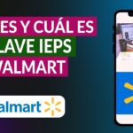 Que significa facturar con ieps