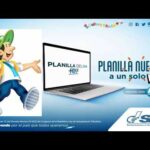 Programa para ingresar facturas sat