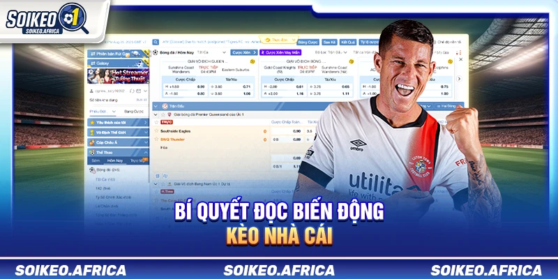 Bí Quyết Đọc Biến Động Kèo Nhà Cái