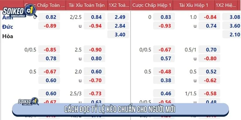 Soi Kèo Nhà Cái Là Gì? Cách Đọc Handicap, Odds & Tài Xỉu Cách đọc tỷ lệ khi tìm hiểu soi kèo nhà cái là gì