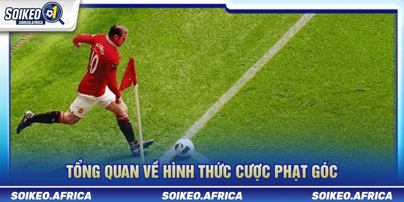 Tổng quan dữ liệu phạt góc trước trận