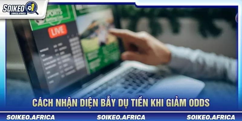 Phân biệt biến động odds sát giờ bóng lăn và dao động ngắn hạn