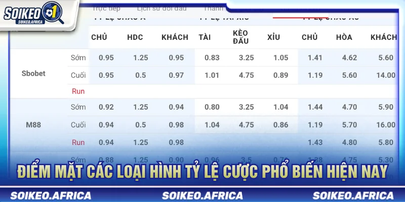 Các nhóm tỷ lệ phổ biến khi tìm hiểu soi kèo là gì
