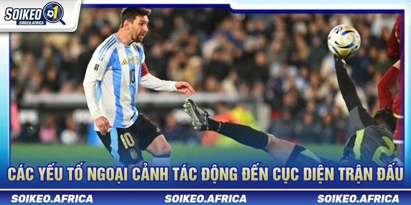 Yếu tố ngoại cảnh trong cach tim du lieu soi keo