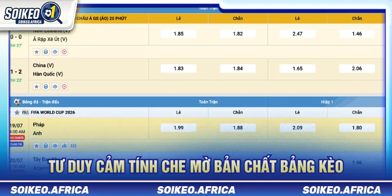 Sai lầm khi đọc tỷ lệ kèo do đánh giá cảm tính
