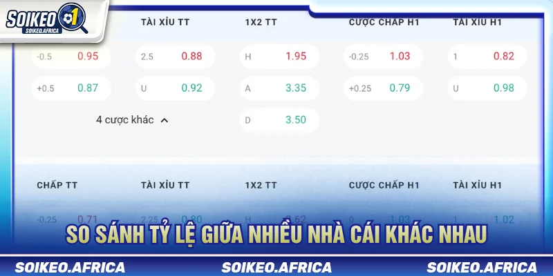 So sánh nhiều bảng tỷ lệ khi soi keo nha cai online